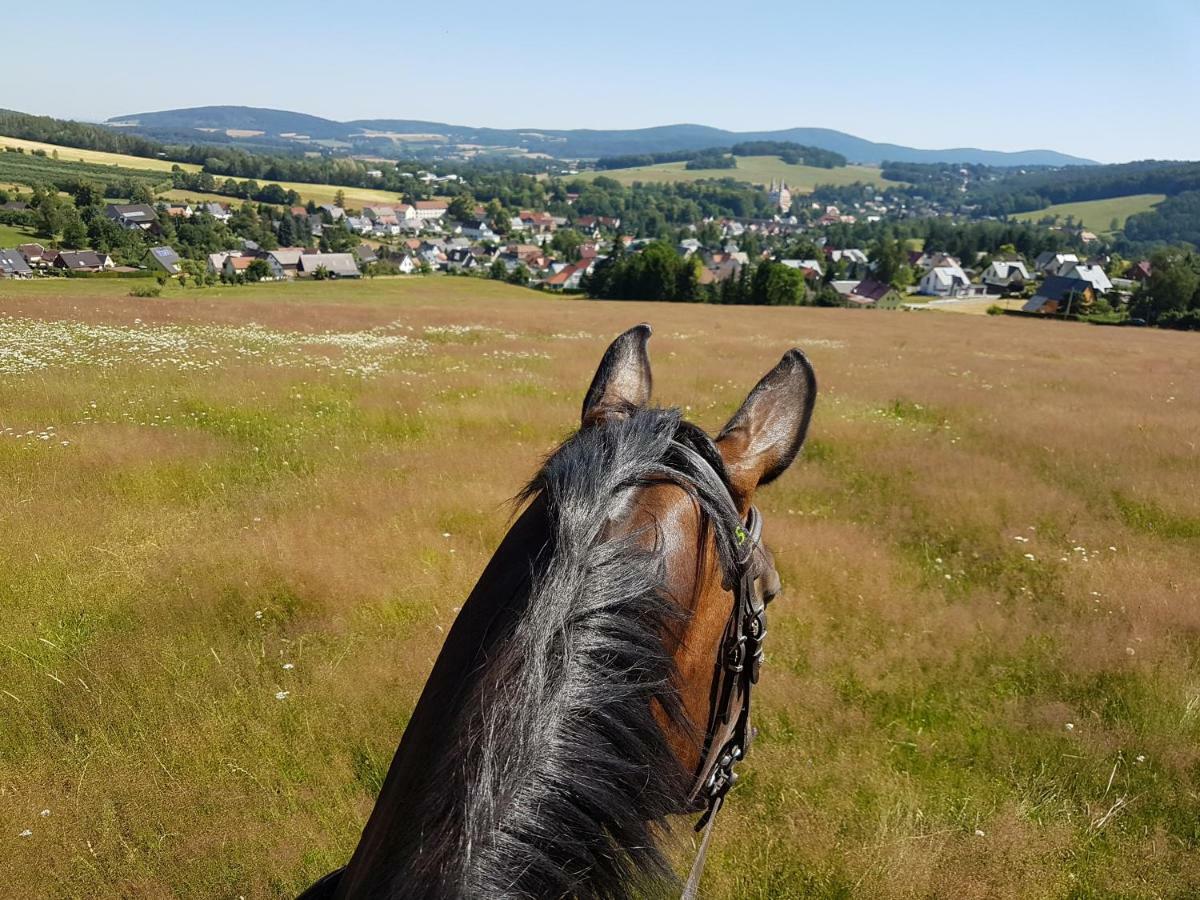 Gutshof Schirgiswalde Lägenhet Exteriör bild